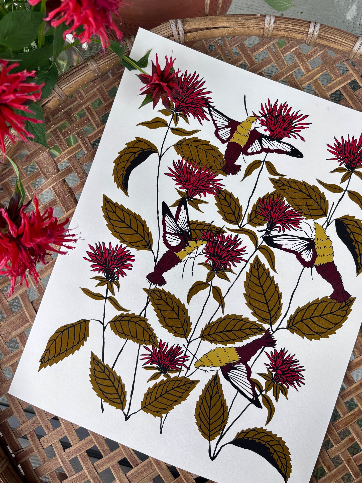 Bee Balm - 14x11 Print