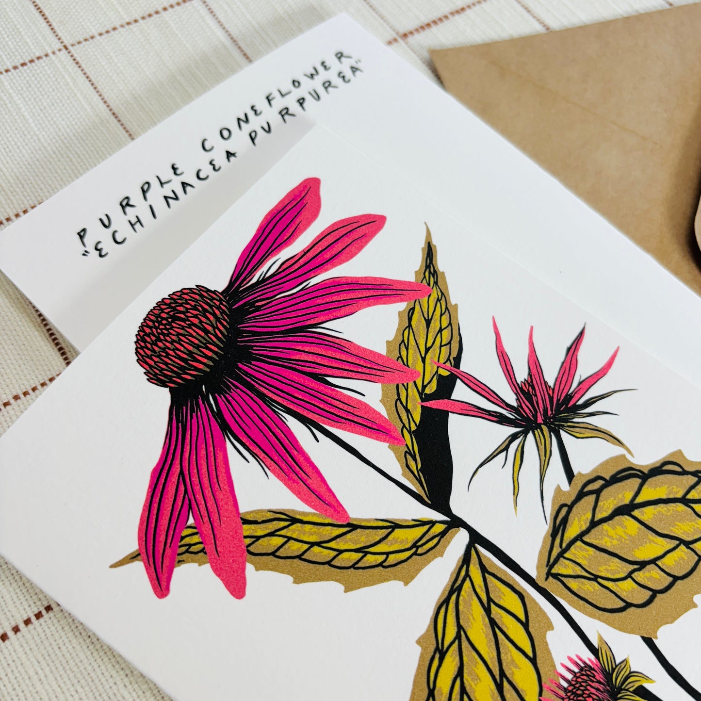 Echinacea Purpurea 5x7 Card