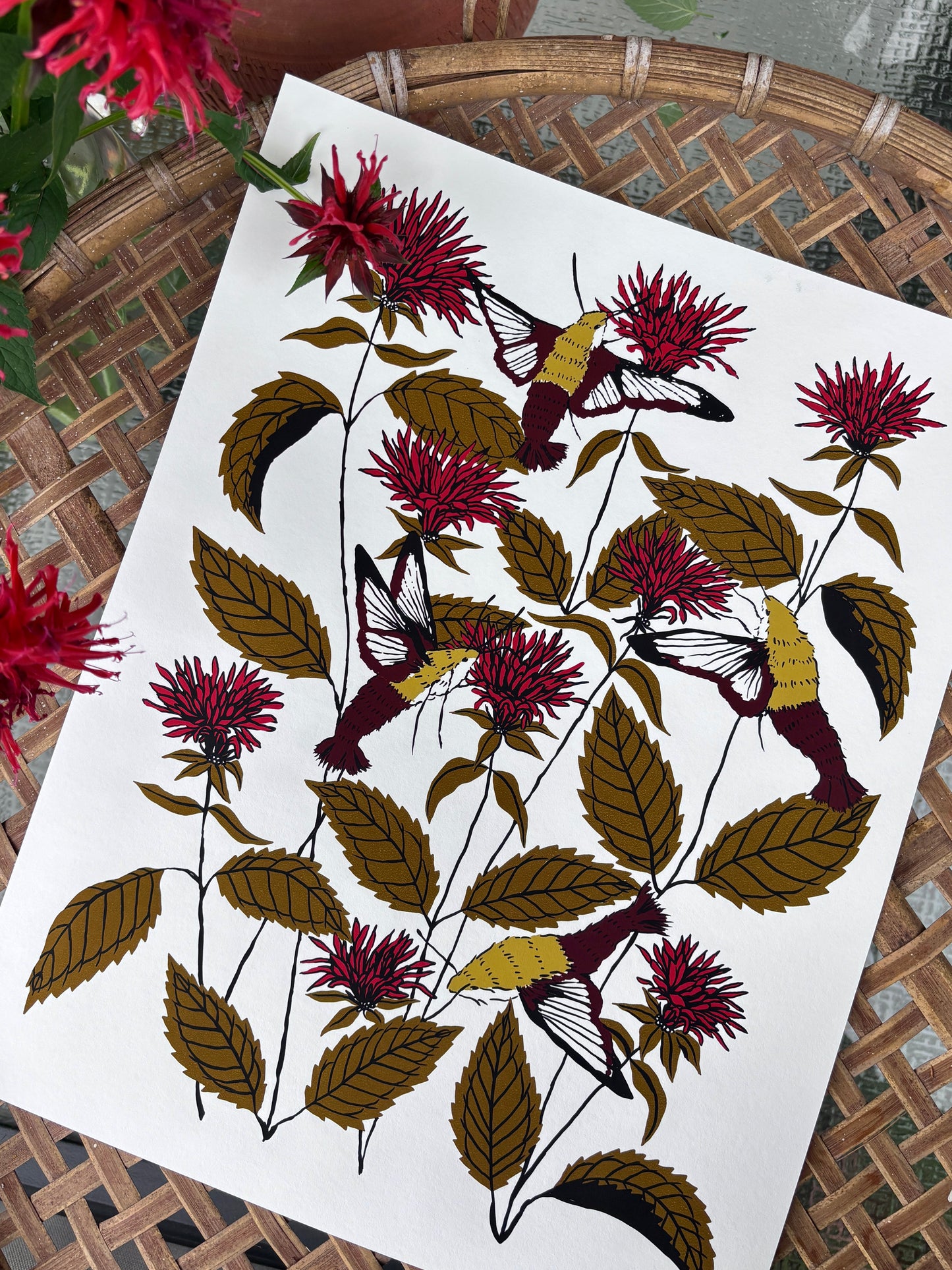 Bee Balm - 14x11 Print