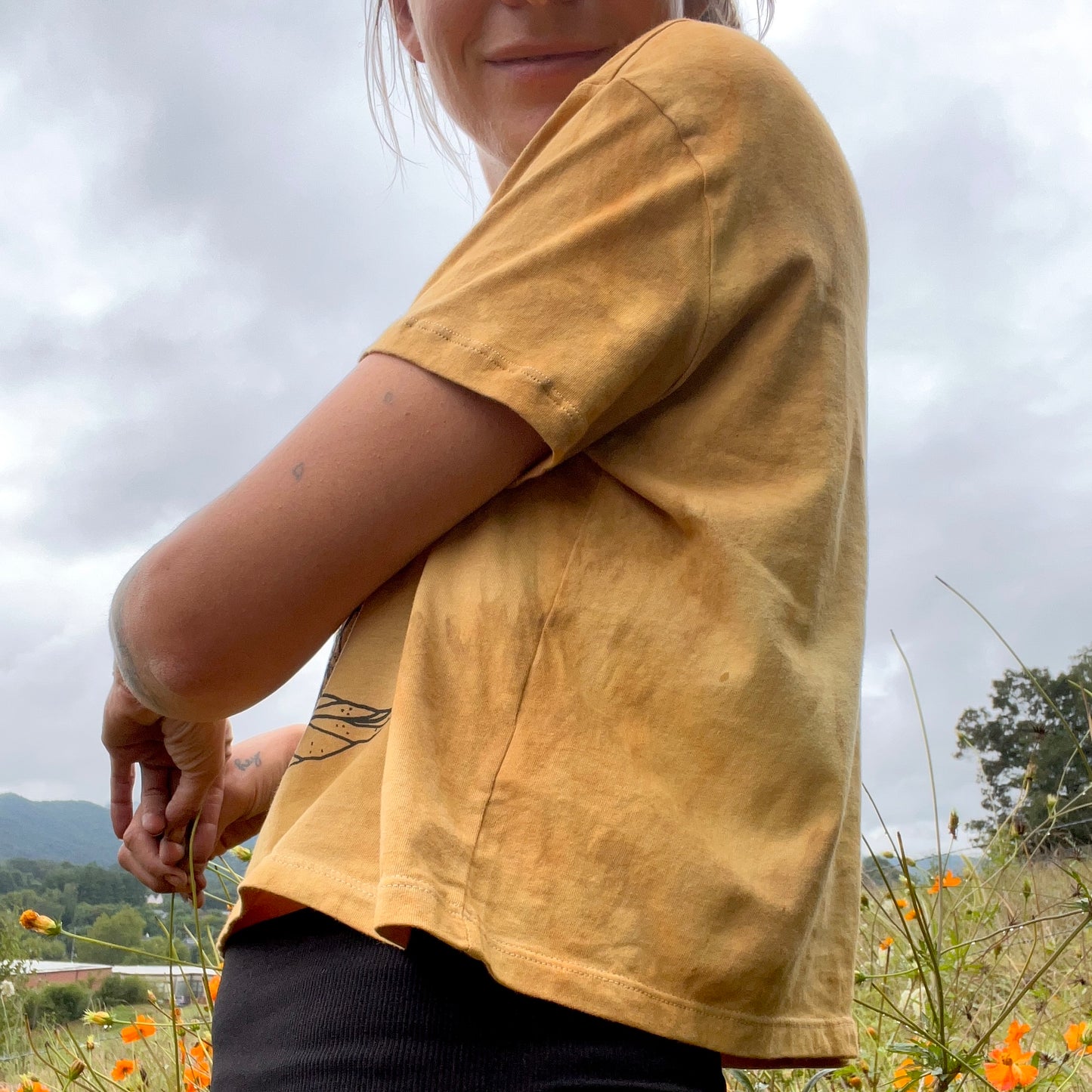 Monarch and Milkweed Tee