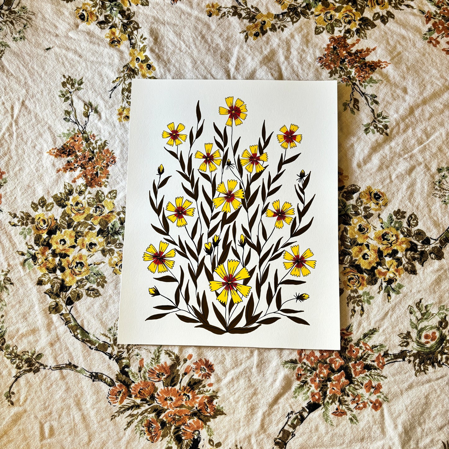Golden Summer Coreopsis - 14x11 Print