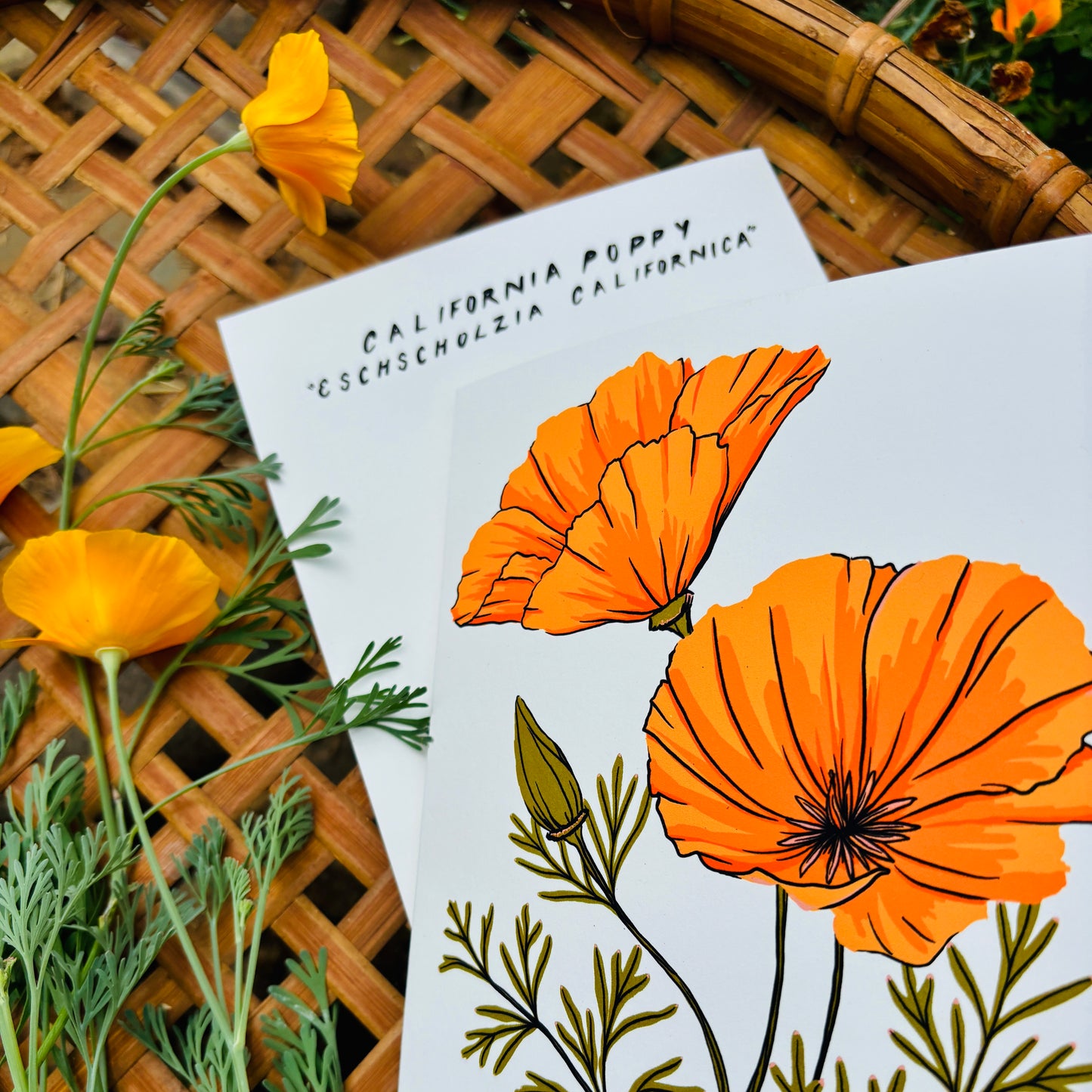 California Poppy 5x7 Card