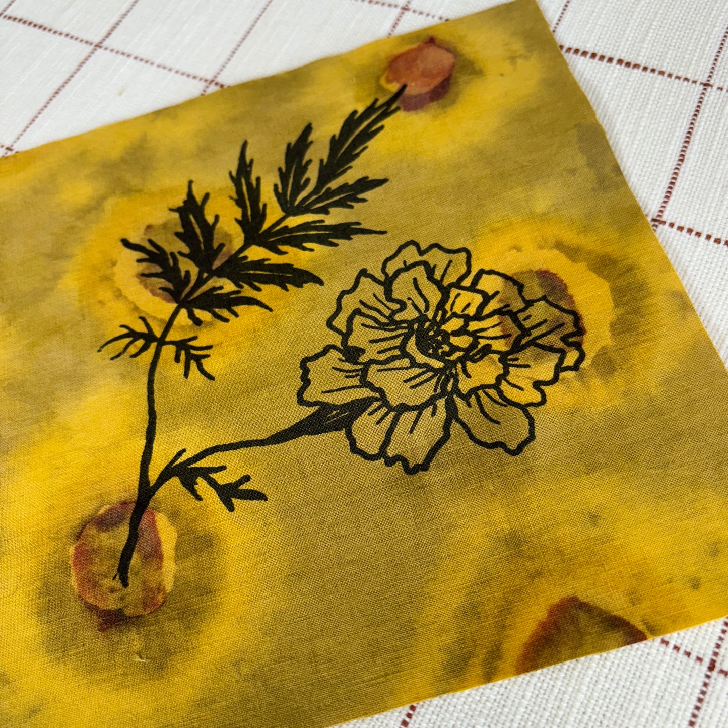 Marigold 7x7 Patch
