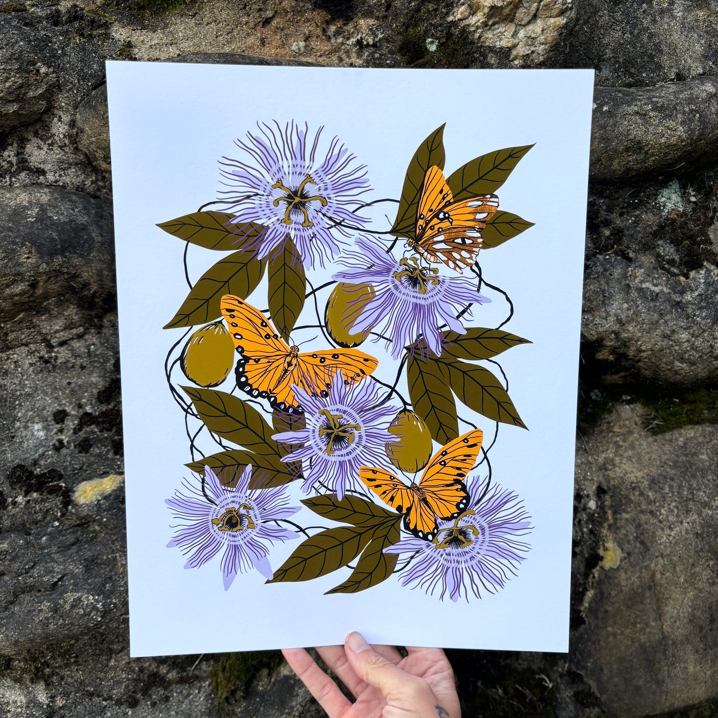 Passionflower - 14x11 Print