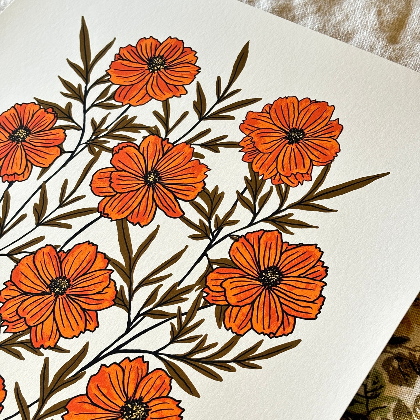 Golden Summer Cosmos - 14x11 Print