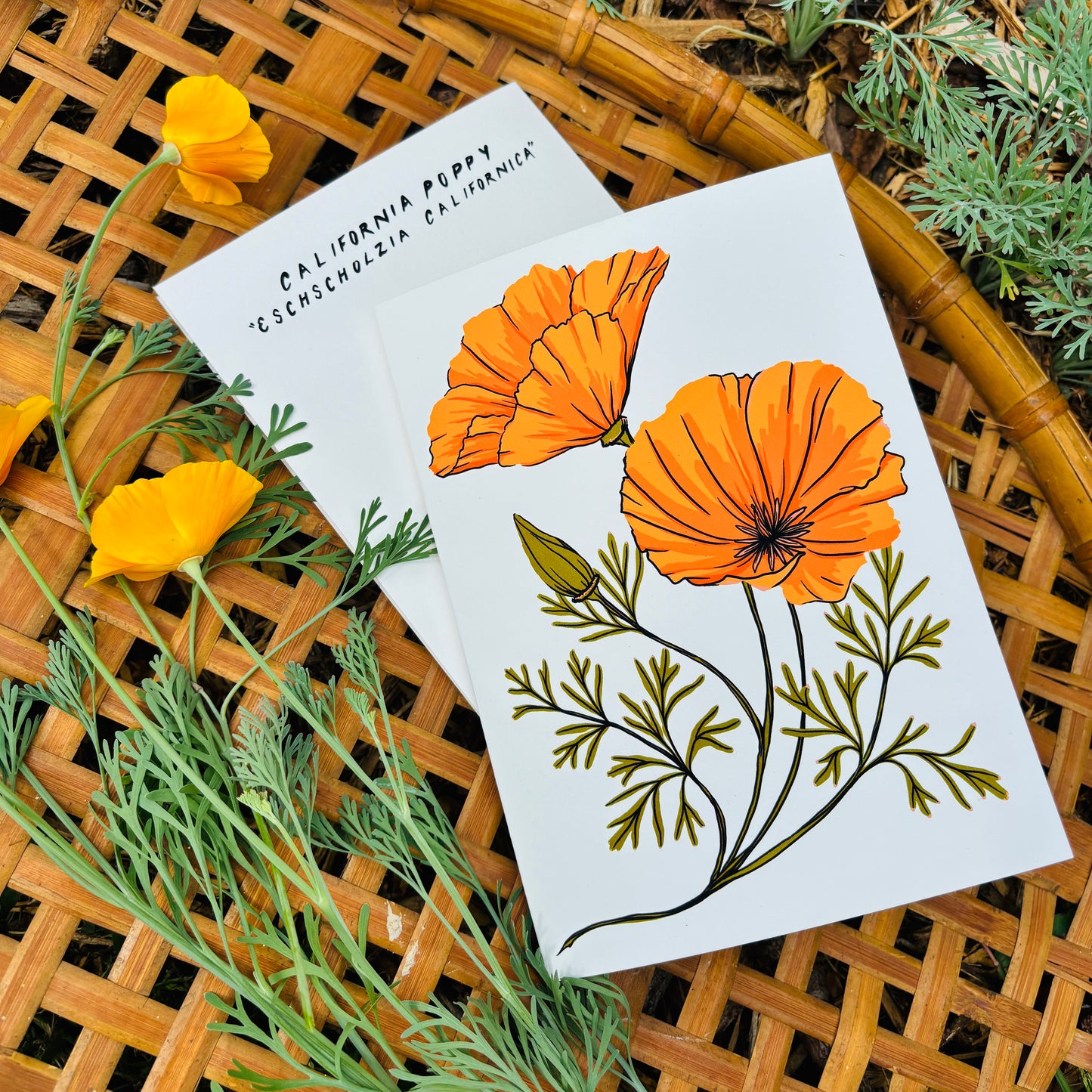 California Poppy 5x7 Card