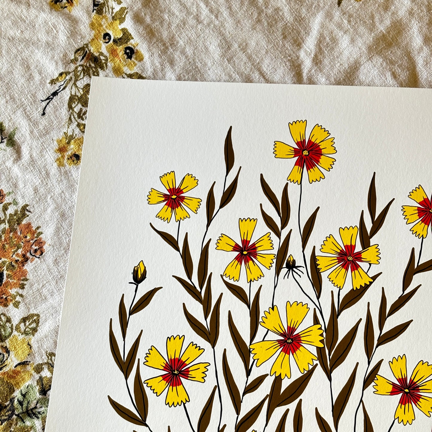 Golden Summer Coreopsis - 14x11 Print