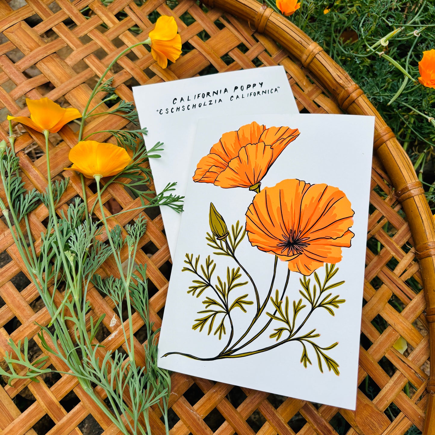 California Poppy 5x7 Card
