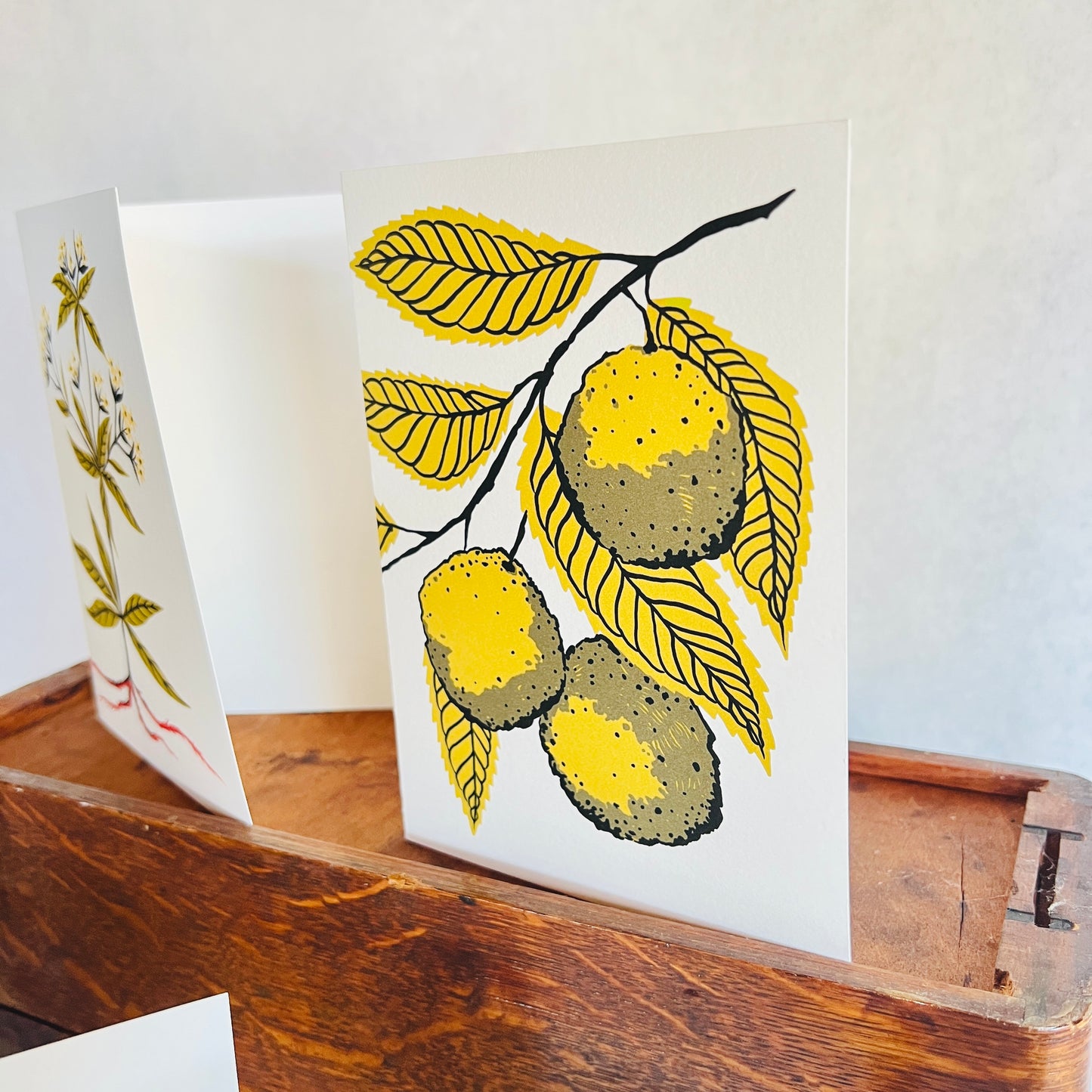 Natural Dye Plant Pen Pal Cards