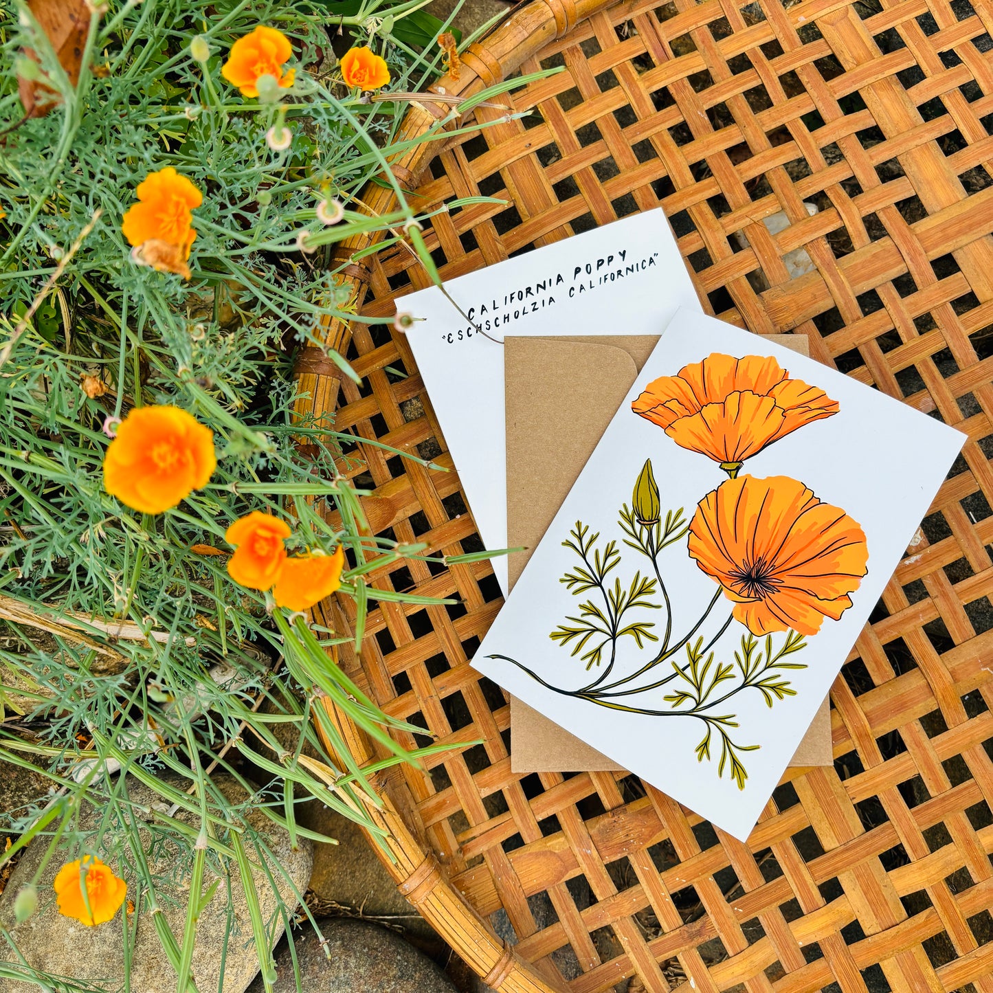California Poppy 5x7 Card