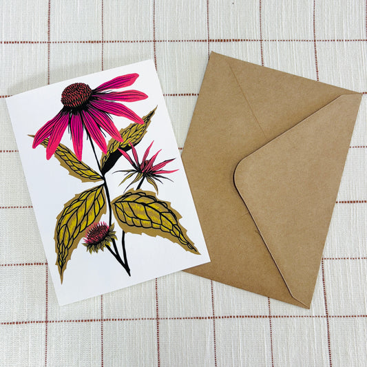 Echinacea Purpurea 5x7 Card
