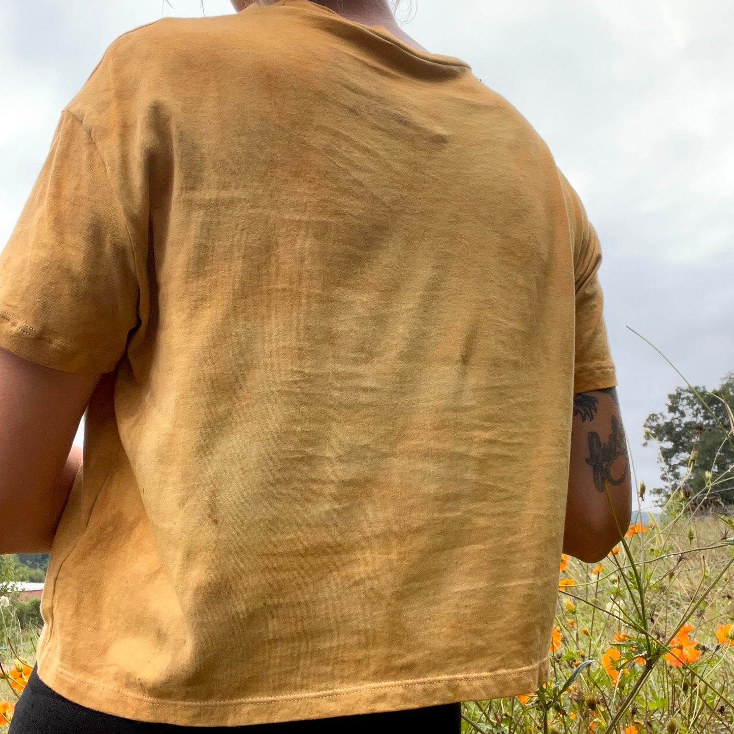 Monarch and Milkweed Tee