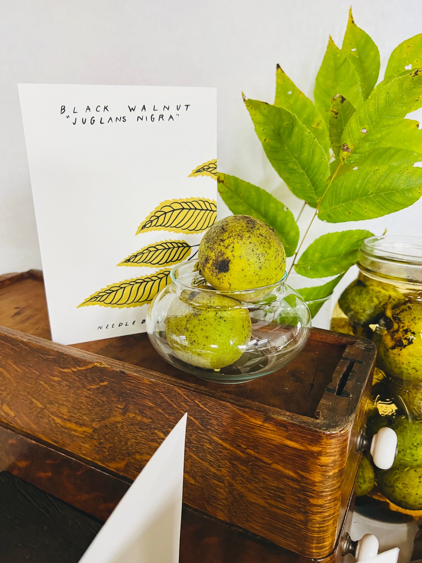 Black Walnut 5x7 Card