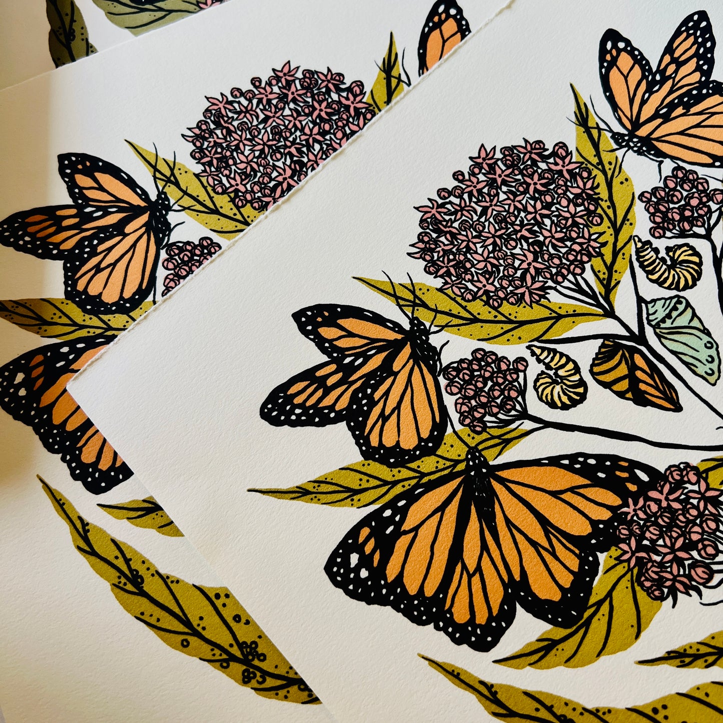 Monarch and Milkweed - 12x12 Print