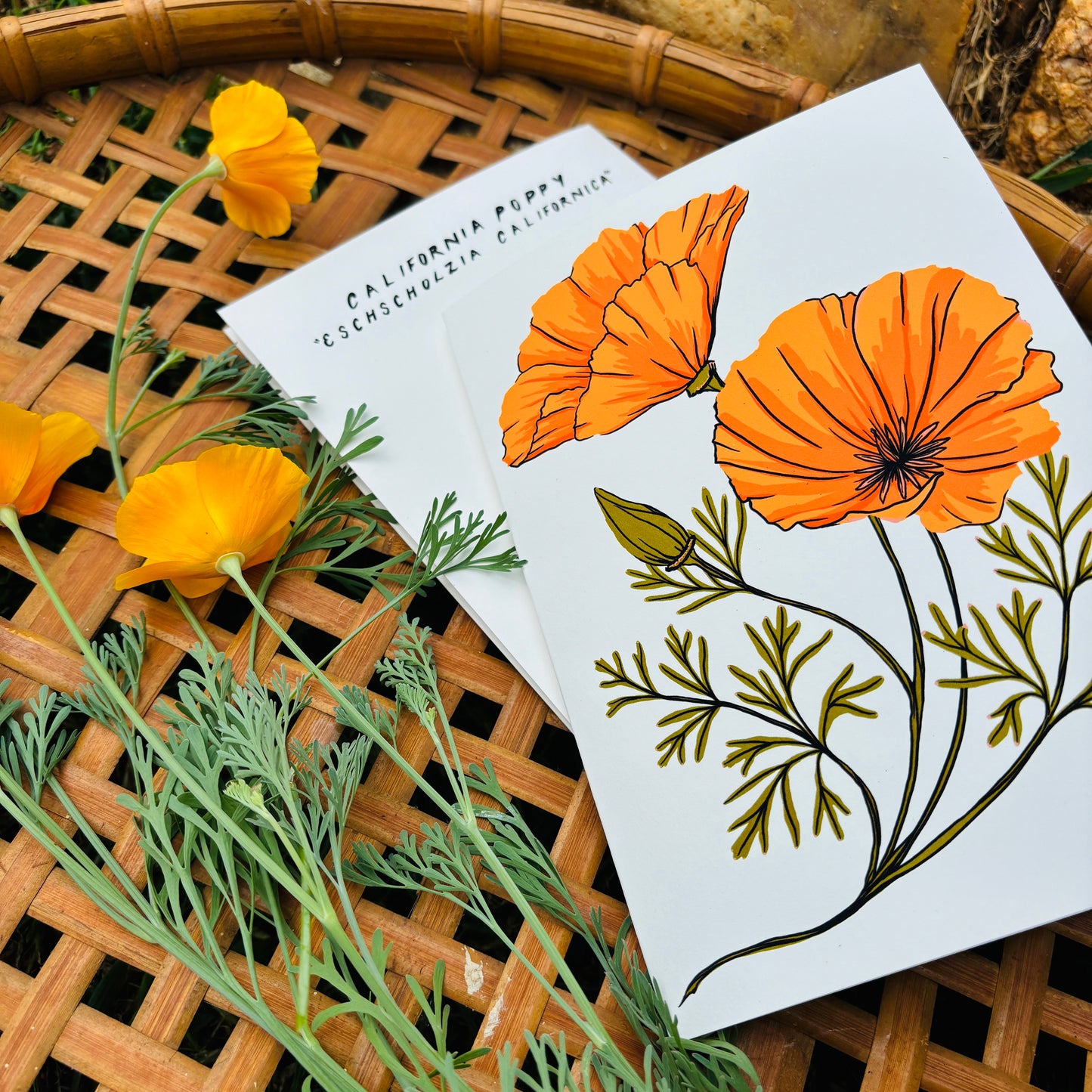 California Poppy 5x7 Card
