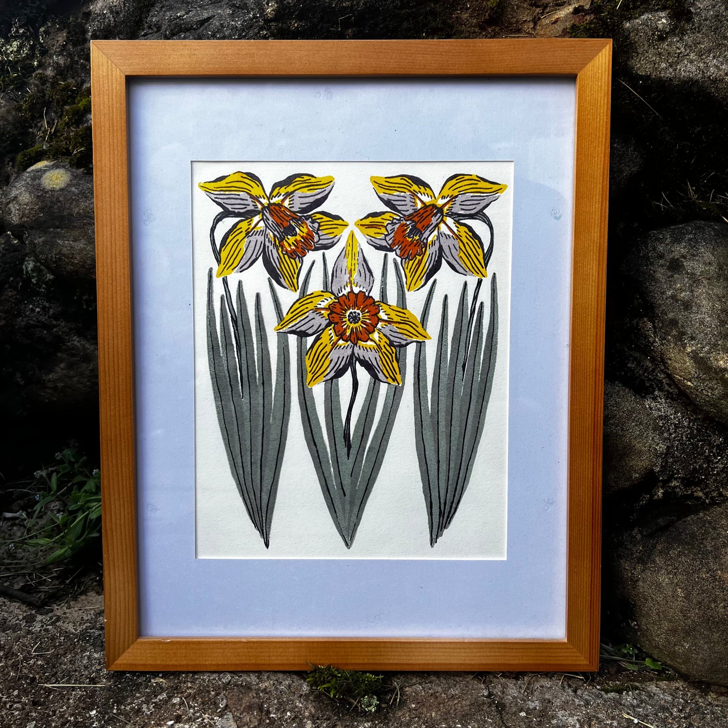 Misprinted Daffodil - 8x10 Print