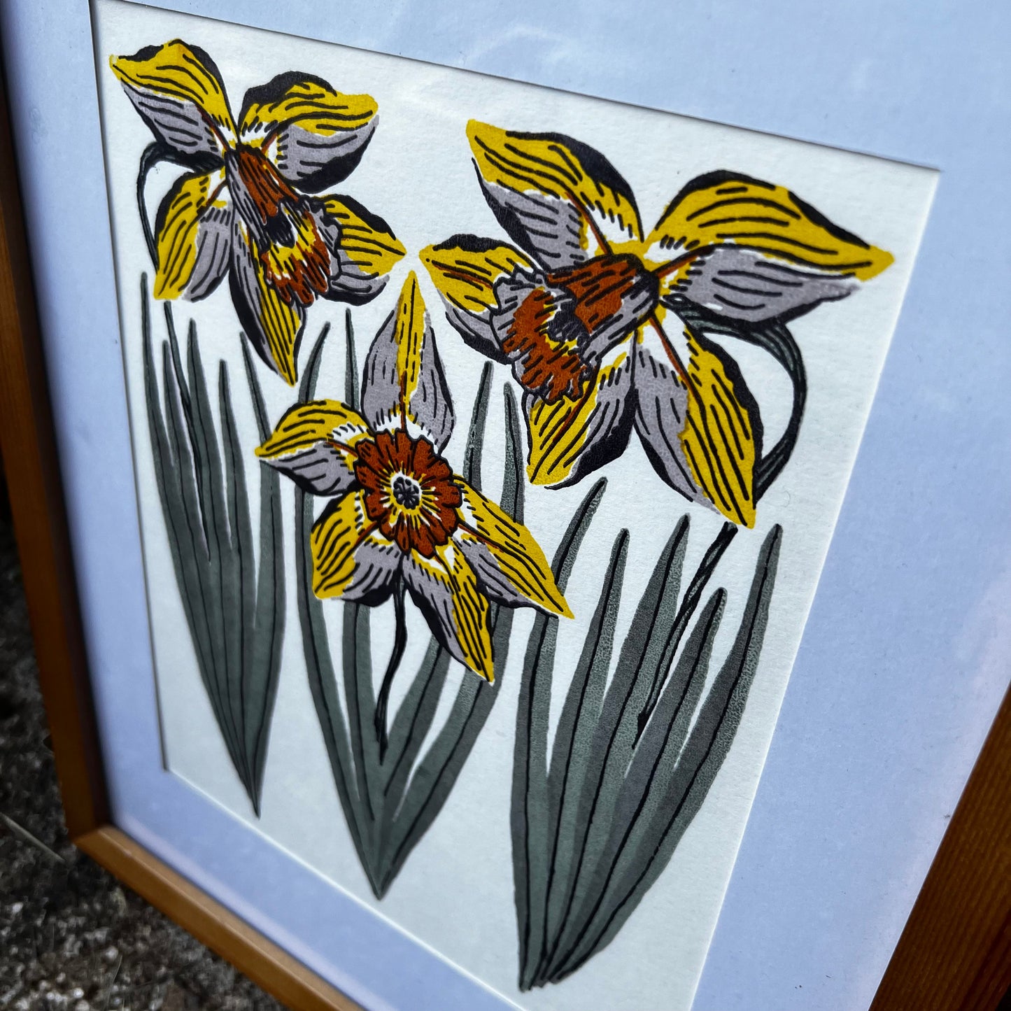 Misprinted Daffodil - 8x10 Print