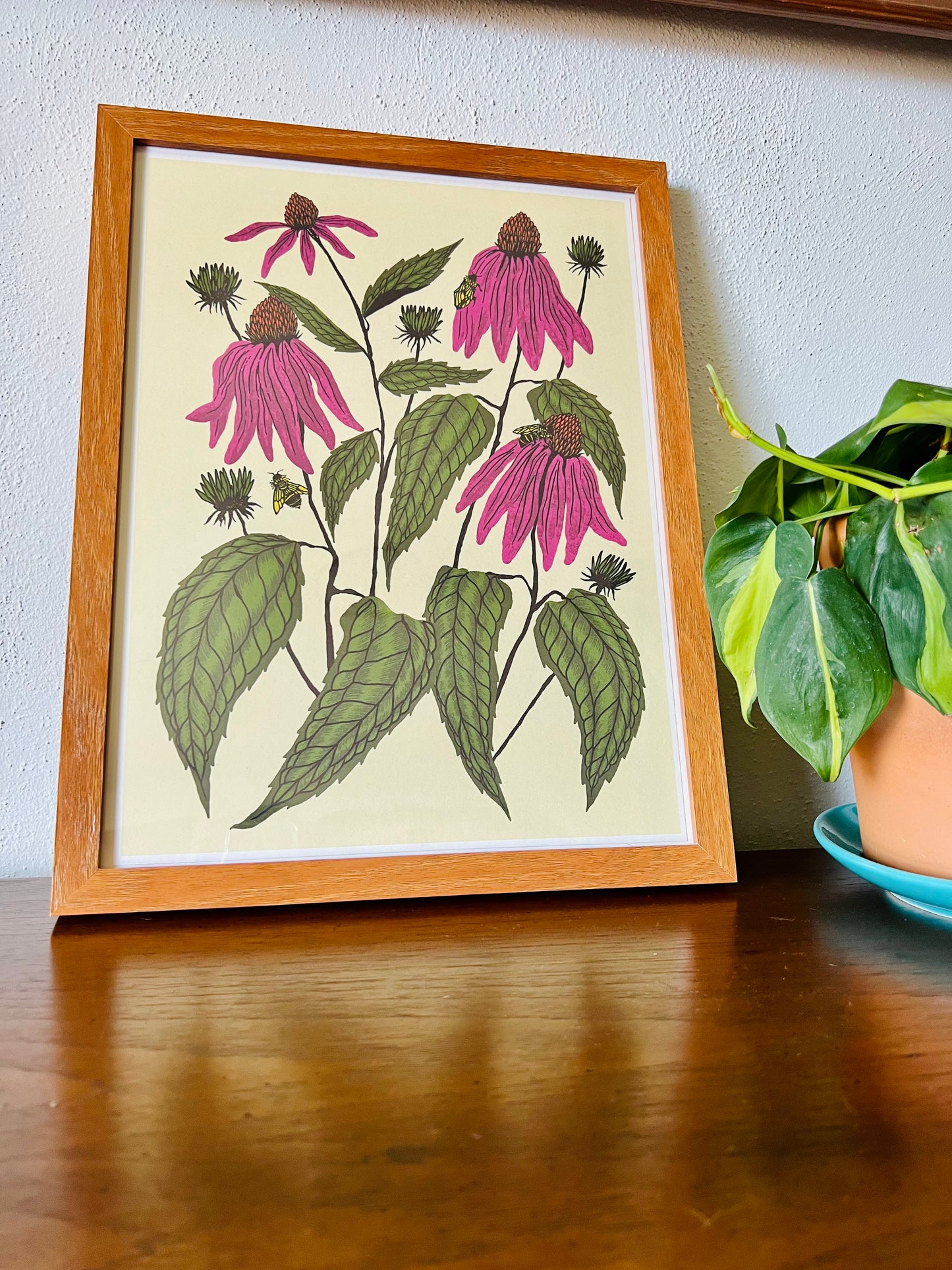 Coneflower - 14x11 Print