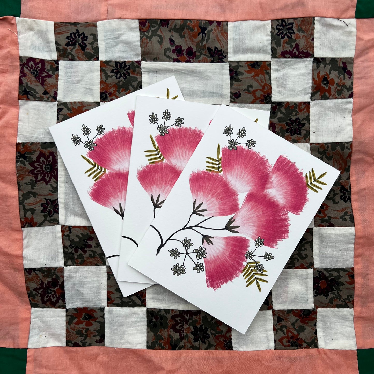 Mimosa - Invasive Pen Pal Cards