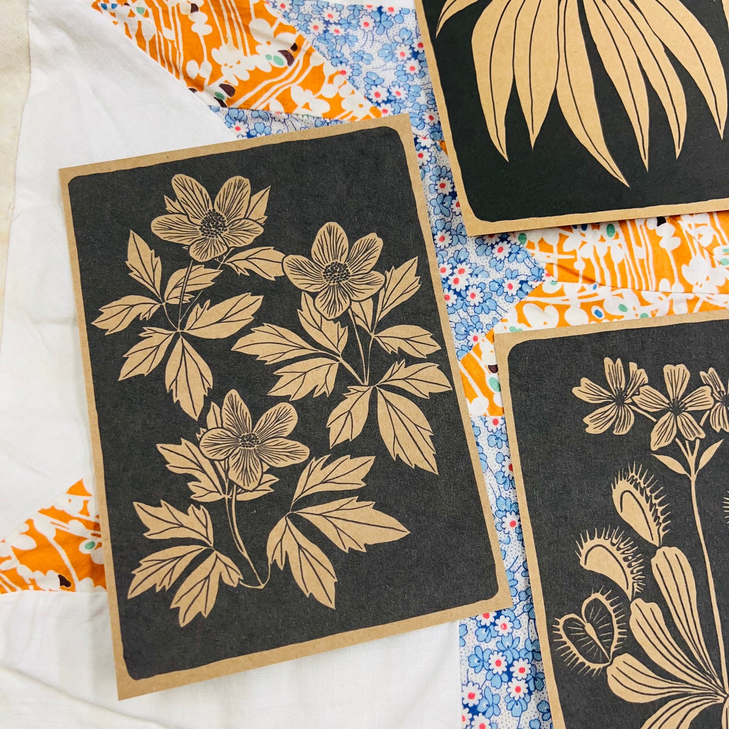 NC Native Plant Pen Pal Cards