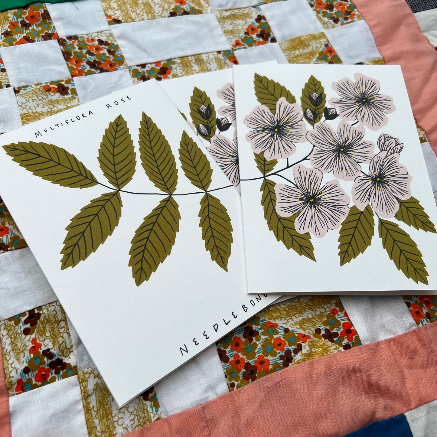 Multiflora Rose - Invasive Pen Pal Cards