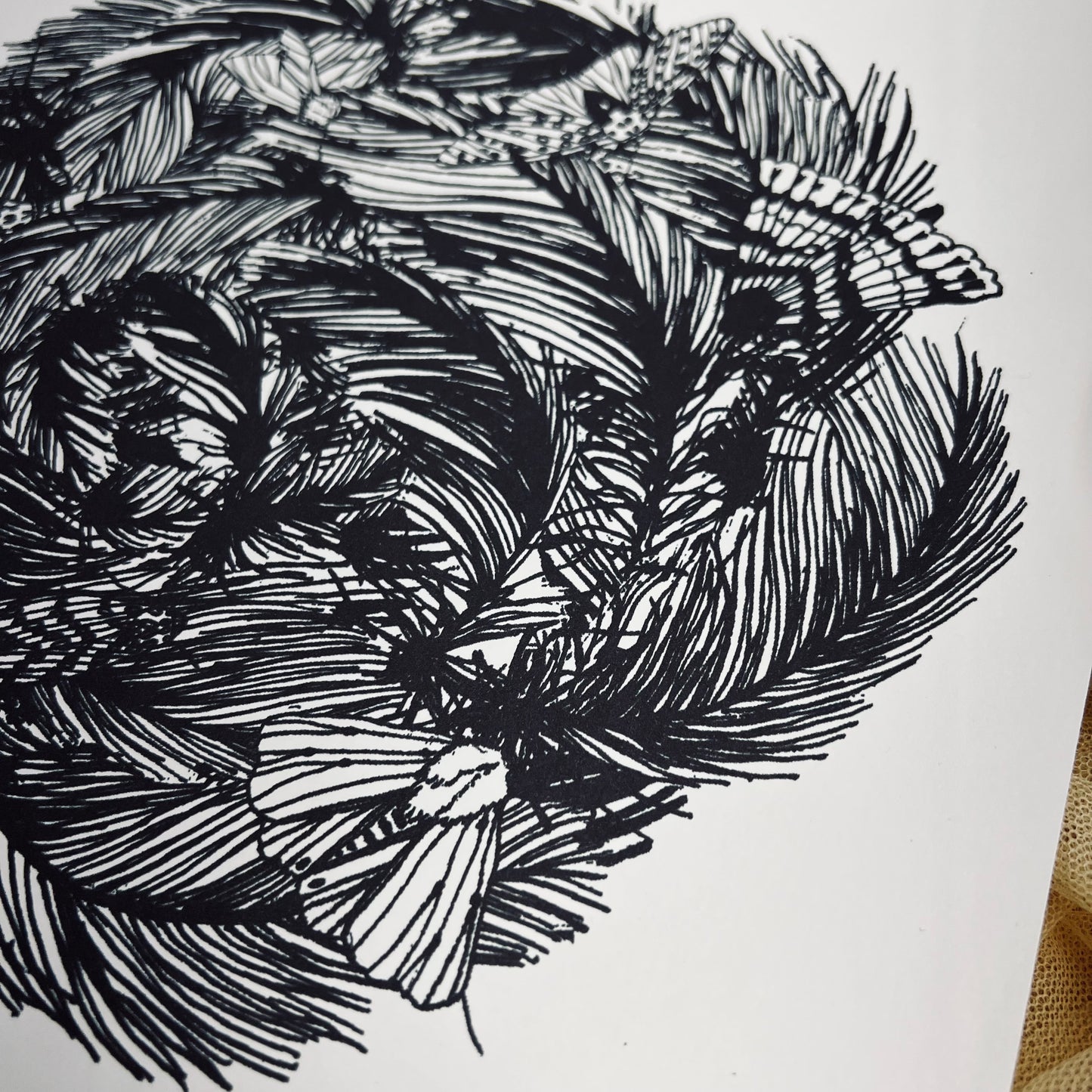 Feather Crown - 12x12 Print