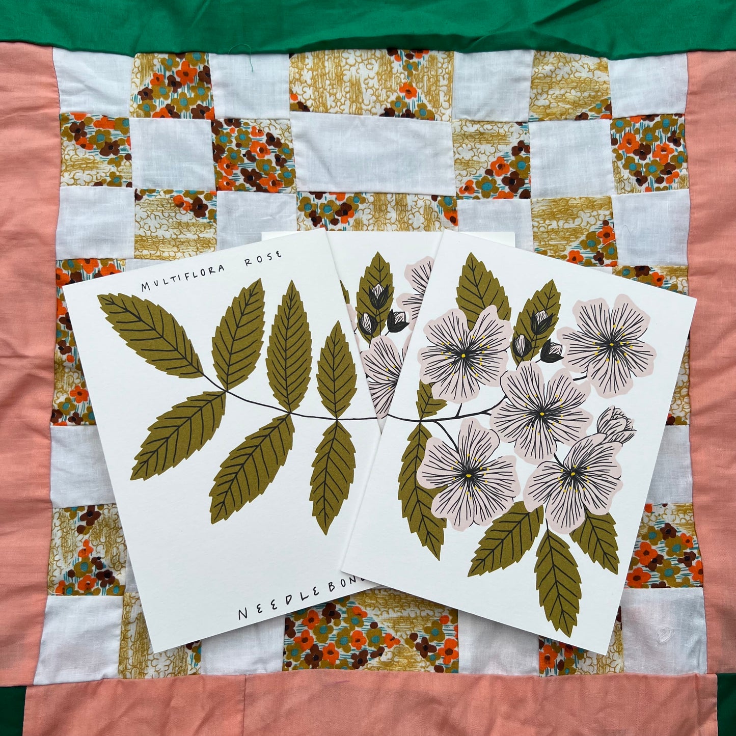 Multiflora Rose - Invasive Pen Pal Cards