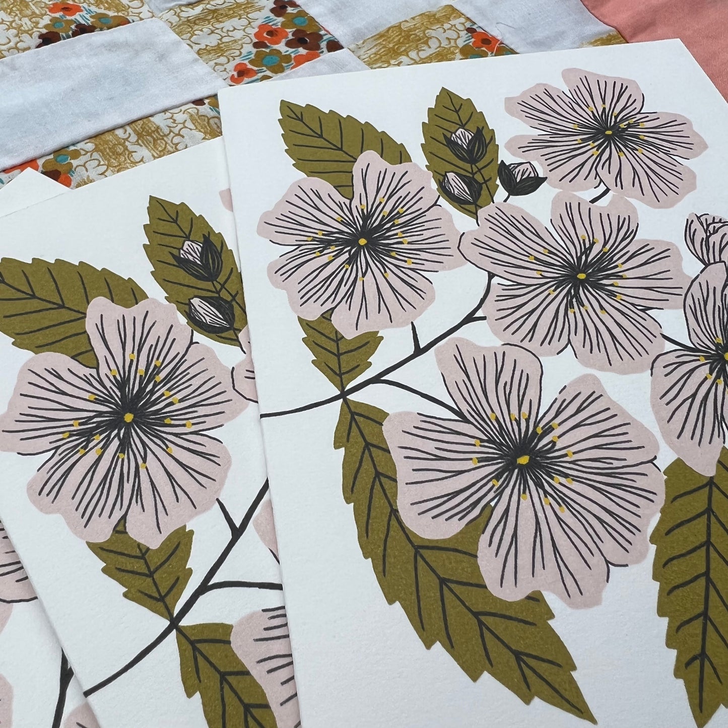 Multiflora Rose - Invasive Pen Pal Cards