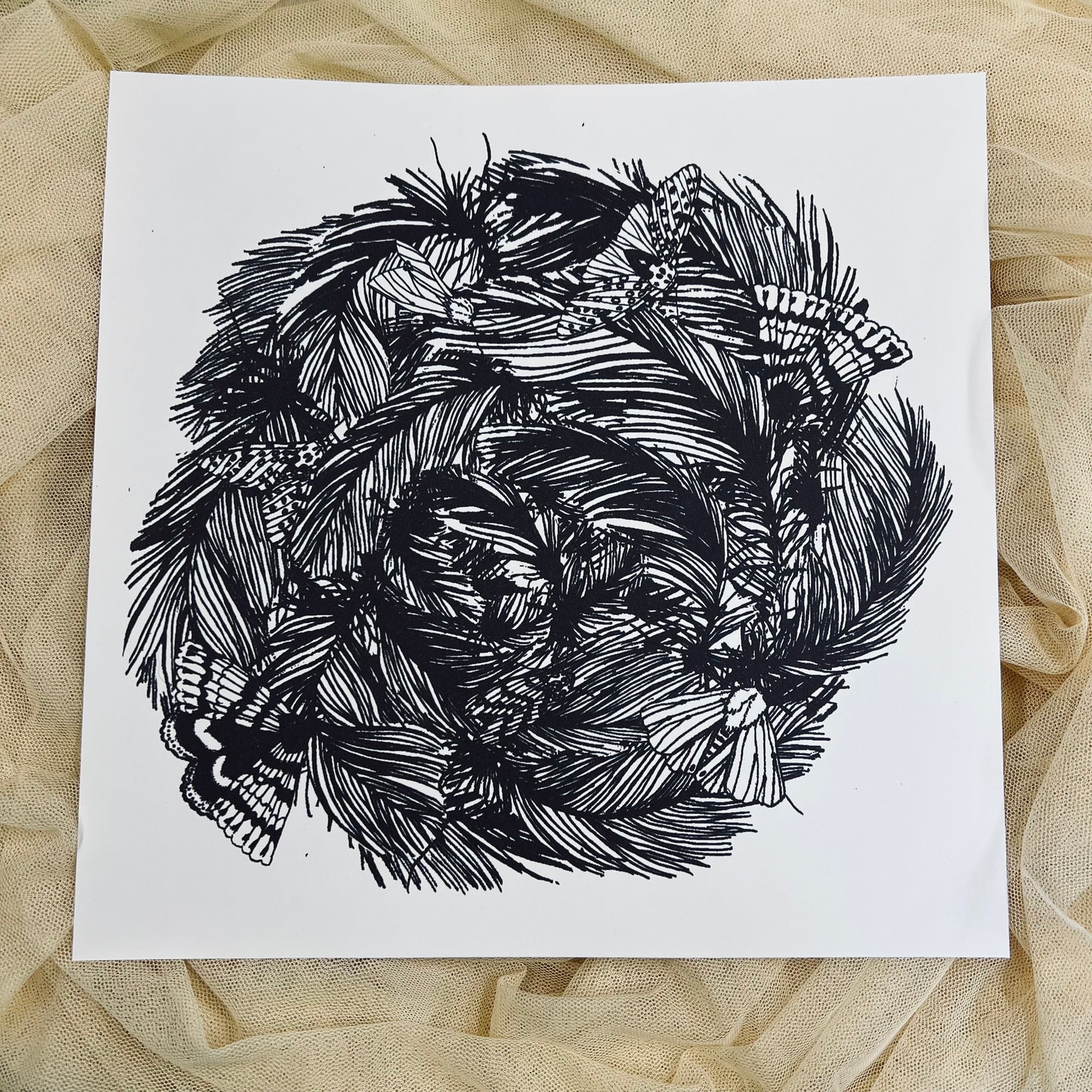 Feather Crown - 12x12 Print
