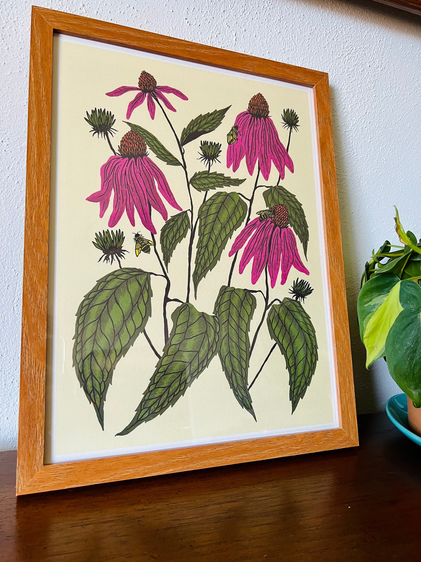 Coneflower - 14x11 Print