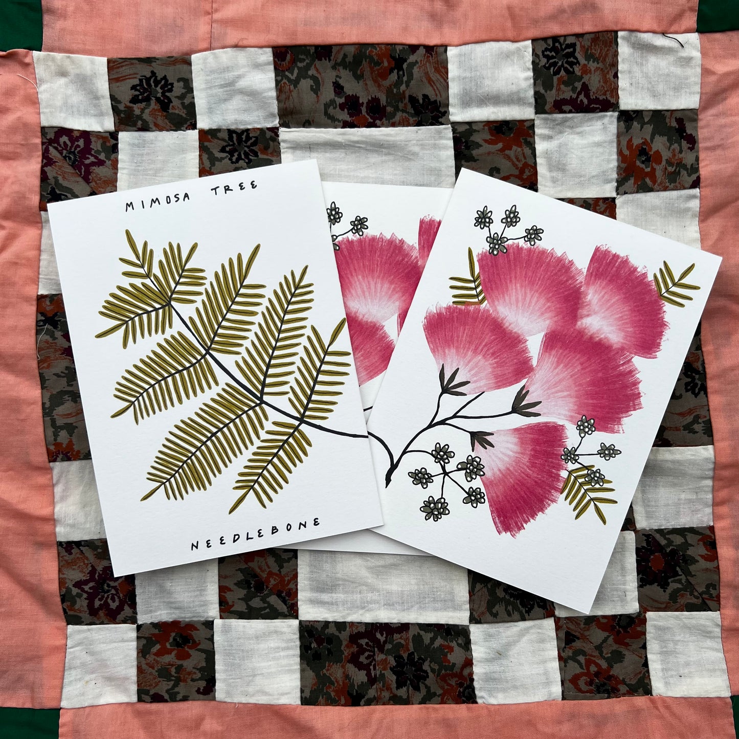 Mimosa - Invasive Pen Pal Cards