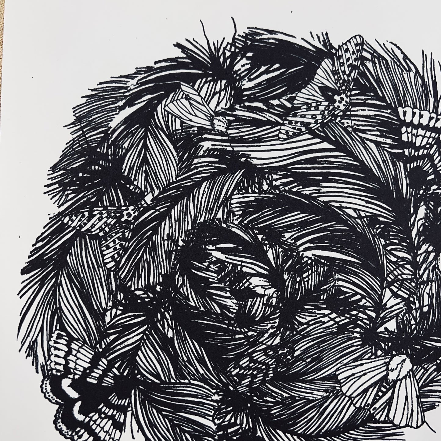 Feather Crown - 12x12 Print