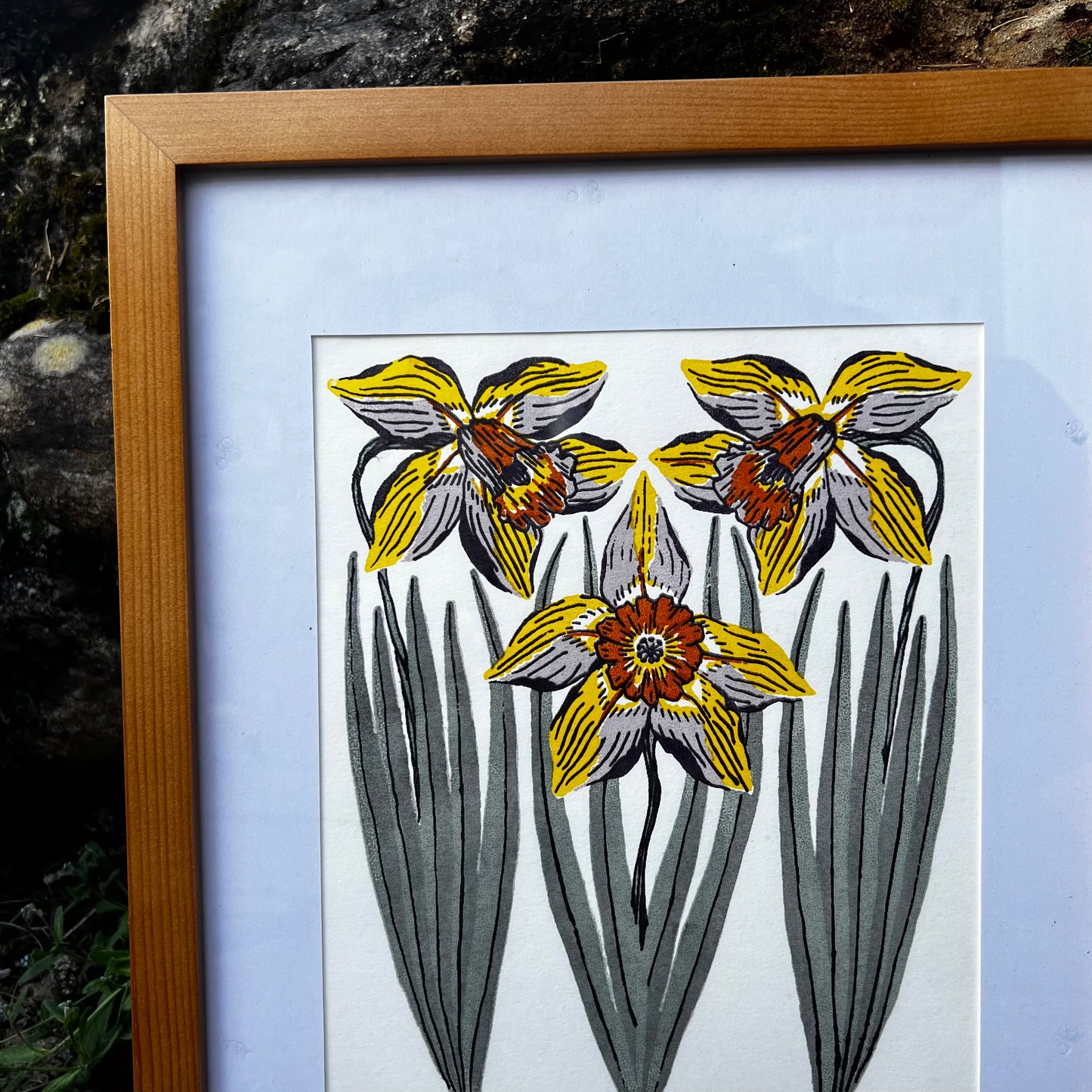 Daffodil - 8x10 Print