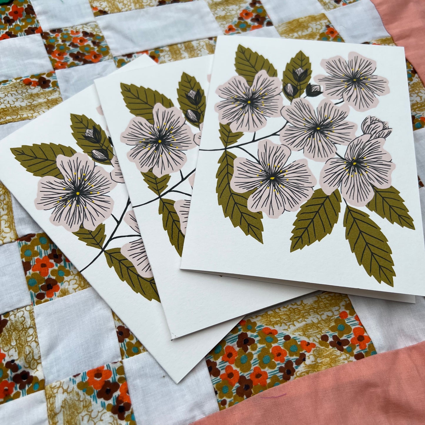 Multiflora Rose - Invasive Pen Pal Cards