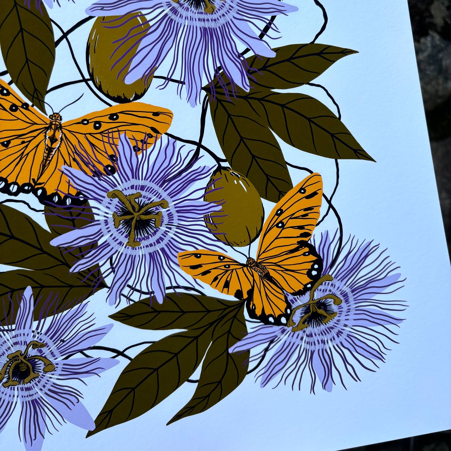 Passionflower - 14x11 Print