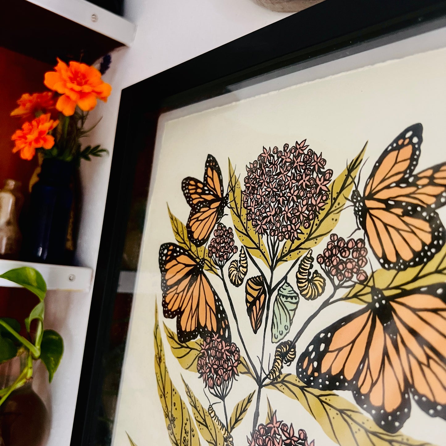 Monarch and Milkweed - 12x12 Print