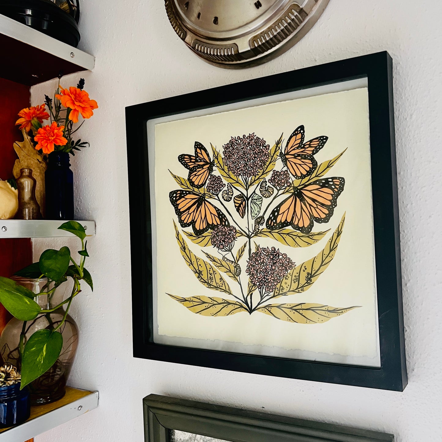 Monarch and Milkweed - 12x12 Print