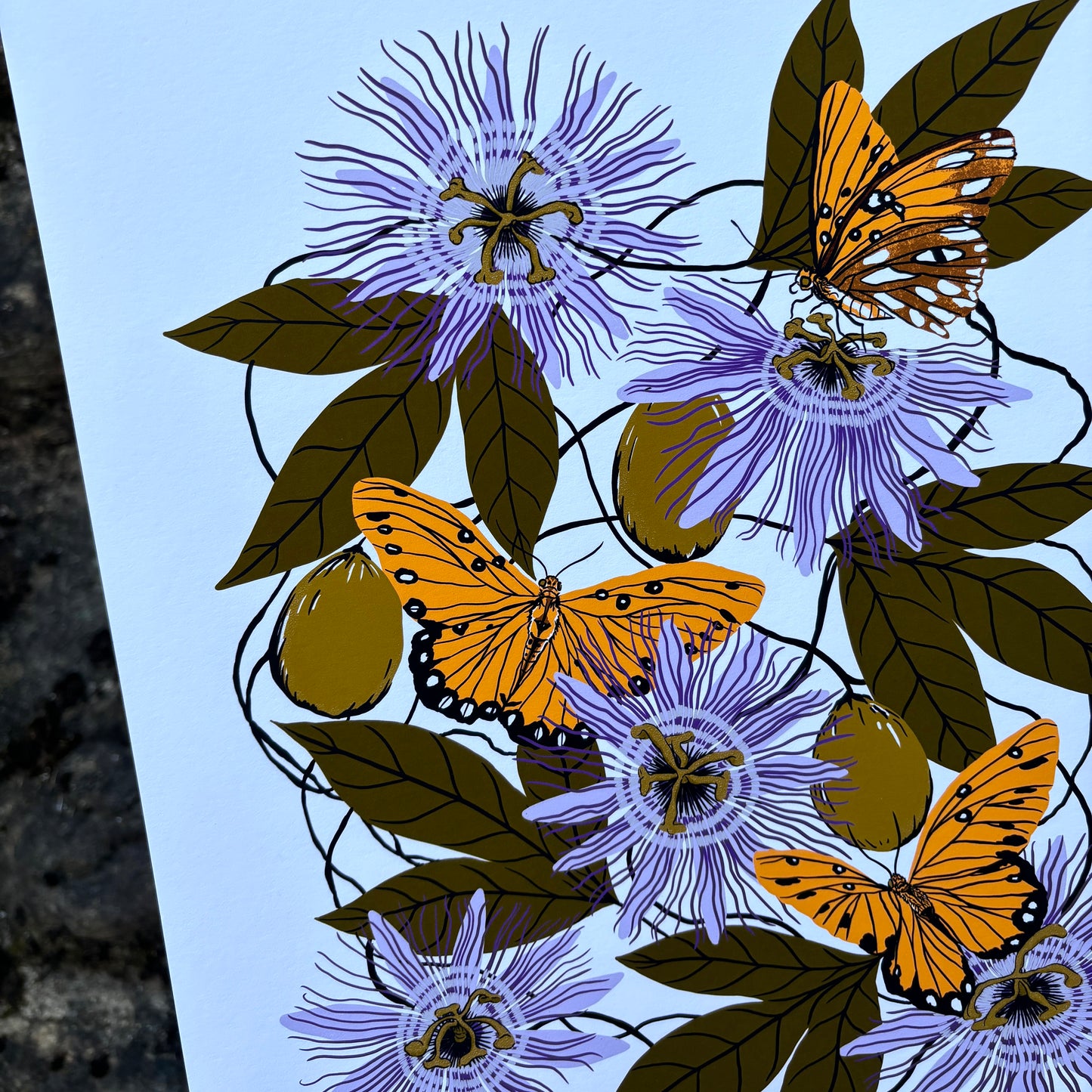 Passionflower - 14x11 Print