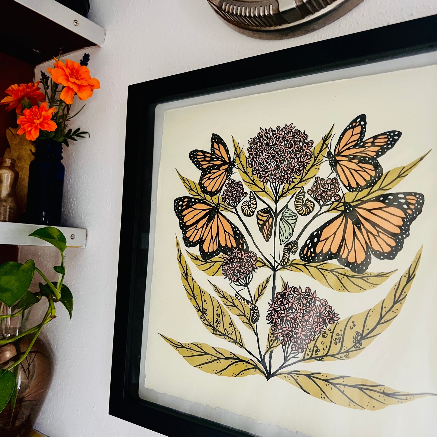 Monarch and Milkweed - 11x11 Print