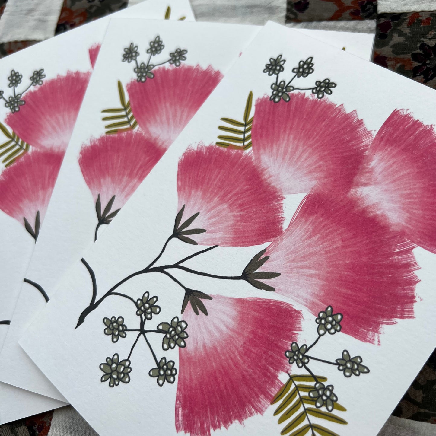 Mimosa - Invasive Pen Pal Cards