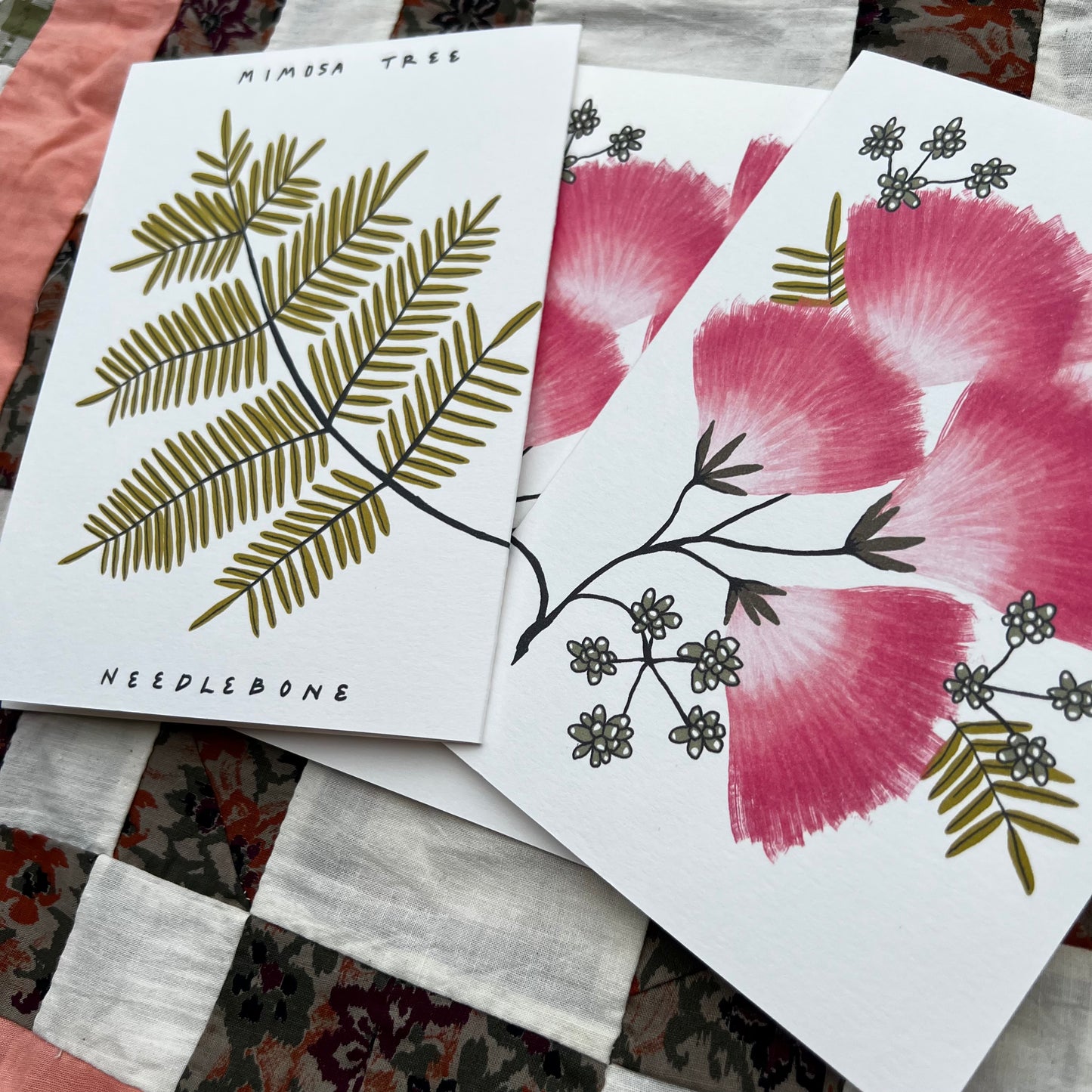 Mimosa - Invasive Pen Pal Cards